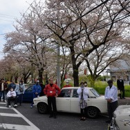 桜吹雪と名車の饗宴…オールドカーミーティングin清久さくらまつり