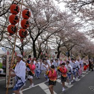 桜吹雪と名車の饗宴…オールドカーミーティングin清久さくらまつり