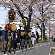 桜吹雪と名車の饗宴…オールドカーミーティングin清久さくらまつり