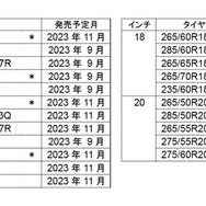 ホワイトレター対象商品 サイズ展開（22サイズ）　＊＝ブラックレターとの併売