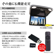 RCA/USB/microSDにも対応