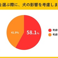 車を選ぶ際に、犬の影響を考慮しましたか？