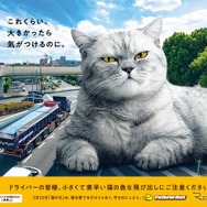 イエローハット「巨大猫ポスター」