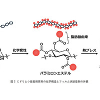 ミドリムシを接着剤に、自動車構造材に革新　旭化成らが開発