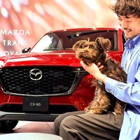 「MAZDA TRANS AOYAMA」、週末限定ドッグカフェ開催へ…11月16日から