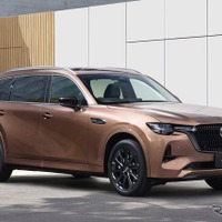 愛犬の車酔い、半数が「NG行動」を選択---マツダがドッグカフェ開催