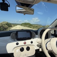 無臭で快適！ ペットや子供がいても使いやすい車内消臭術