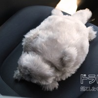 トヨタとquantumの猫型ロボット「ドラにゃむ」、運転リスク感知で鳴き声…安全運転促す