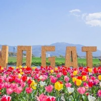 スズキ電動台車『MITRA』とAIカメラで駐車場渋滞を解消、直方市チューリップフェアで実証実験　4月5日