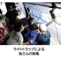 高松道の高瀬PAでライトトラップ虫採集、7月24日開催へ…応募締め切りは7月12日