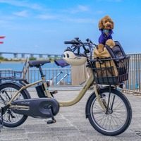 浜名湖で「わんこと乗れるレンタサイクル」10月から開始…ヤマハ、JR東海ら4者が実証実験