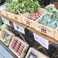 シェア駐車場で、野菜の「ドライブスルー販売」を開始…akippaとYACYBER
