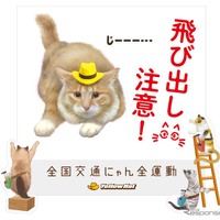 猫の交通事故なくせ…キャットストリートに光る「飛び出し注意」看板