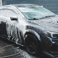 春はクルマが汚れやすい時期、自分で洗車するドライバーは50.9% 画像