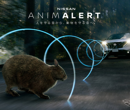 日産、野生動物の安全確保へ新プロジェクト…絶滅危惧種アマミノクロウサギのロードキル防止を目指す 画像