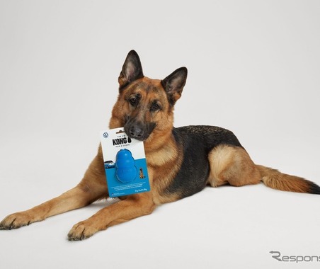VW『ID. Buzz』に着想した「犬用おもちゃ」、ルーツは50年前の「タイプ2」に 画像