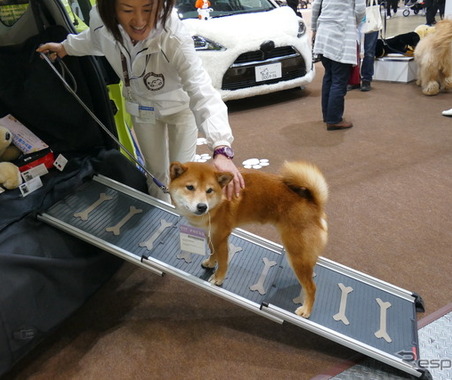 犬好き必見！ ワンコとクルマ…インターペット2017 画像