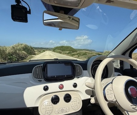 無臭で快適！ ペットや子供がいても使いやすい車内消臭術 画像