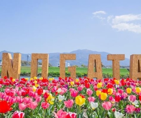 スズキ電動台車『MITRA』とAIカメラで駐車場渋滞を解消、直方市チューリップフェアで実証実験　4月5日 画像