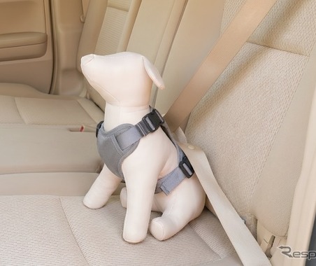 コンビのペットブランド「コムペット」、シートベルトを通すだけの「カーリンク ハーネス」発売へ 画像