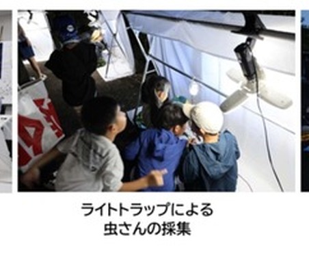 高松道の高瀬PAでライトトラップ虫採集、7月24日開催へ…応募締め切りは7月12日 画像