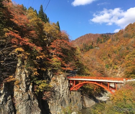 移住と観光バス運転手の仕事を体験…長野・森宮交通が無料ツアー　11月3日 画像