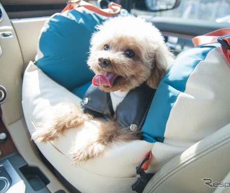 分厚いクッションで愛犬を守る「ペット用多機能カーシート」…ベッドやキャリーにも利用可 画像