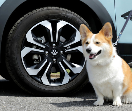 愛犬家の4人に1人、お泊り旅行の経験あり…ホンダアクセス調べ 画像