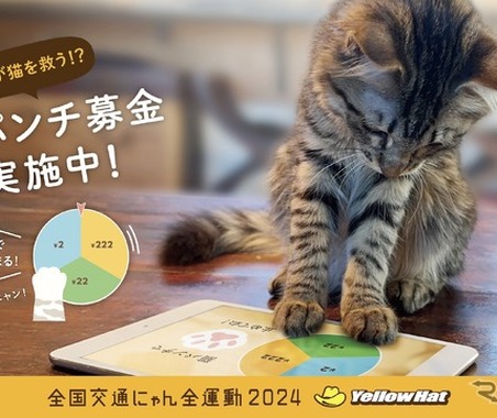 猫パンチで募金だ!!…イエローハットが猫の交通安全を守るキャンペーン 画像