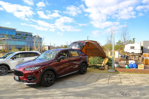 2025年秋のレジャー、車中泊や愛犬連れドライブが人気に…ホンダアクセス調査 画像