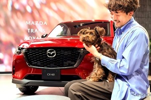 「MAZDA TRANS AOYAMA」、週末限定ドッグカフェ開催へ…11月16日から 画像