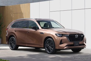 愛犬の車酔い、半数が「NG行動」を選択---マツダがドッグカフェ開催 画像