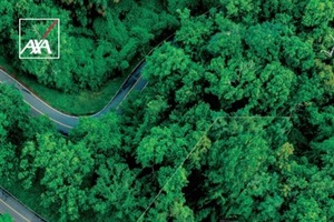 アクサ損保、「安全運転ファクトブック2026」発行…疾病起因事故や小規模事故の実態を解説 画像