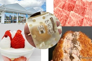 道の駅伊万里、リニューアル1周年記念イベント3月20-22日開催…伊万里牛の振る舞いや限定スイーツ販売も 画像