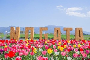 スズキ電動台車『MITRA』とAIカメラで駐車場渋滞を解消、直方市チューリップフェアで実証実験　4月5日 画像