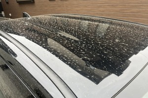 黄砂の季節に愛車を守る「こすらない洗車」がボディを救う理由 画像