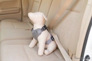 コンビのペットブランド「コムペット」、シートベルトを通すだけの「カーリンク ハーネス」発売へ 画像