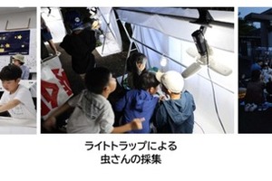 高松道の高瀬PAでライトトラップ虫採集、7月24日開催へ…応募締め切りは7月12日 画像