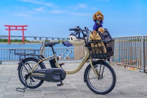 浜名湖で「わんこと乗れるレンタサイクル」10月から開始…ヤマハ、JR東海ら4者が実証実験 画像