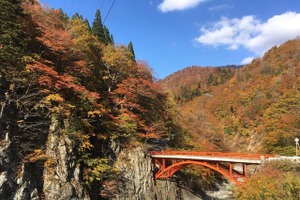 移住と観光バス運転手の仕事を体験…長野・森宮交通が無料ツアー　11月3日 画像