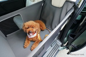 愛犬と一緒に過ごす温泉旅プランに「愛犬用アクセサリー」提供…ホンダアクセス 画像
