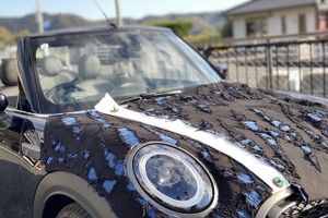 岡山デニム仕様のMINI、コンセプトカー『BLUE DRIVE』制作中 画像