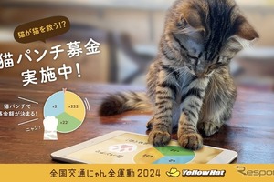 猫パンチで募金だ!!…イエローハットが猫の交通安全を守るキャンペーン 画像