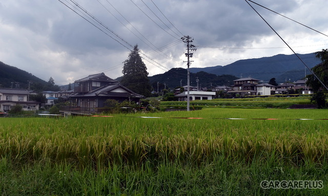 相互車体の周辺にはのどかな光景が広がる