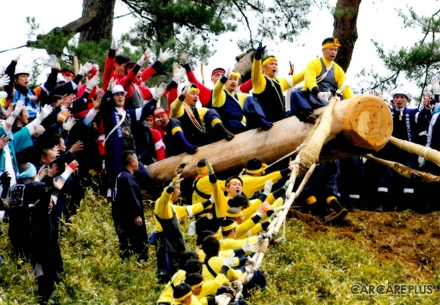 2016年4月に行われた御柱祭(「山出し」春宮四之柱の木落し)に専務が参加! 先頭から4人目の氏子として御柱にまたがっている